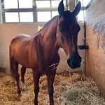 Tenuta Filippi Frühstückspension