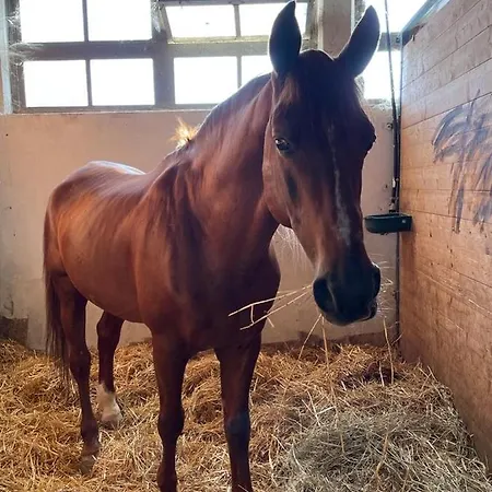 Tenuta Filippi Alojamento de Acomodação e Pequeno-almoço