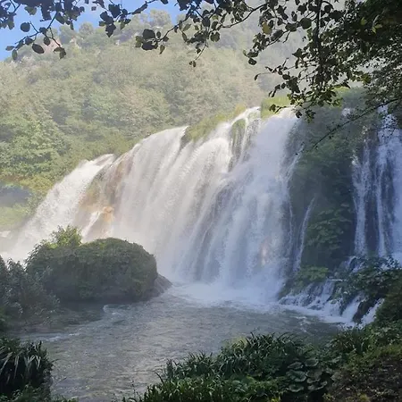 Tenuta Filippi *