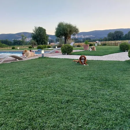 Tenuta Filippi