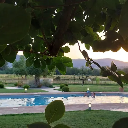 Tenuta Filippi *